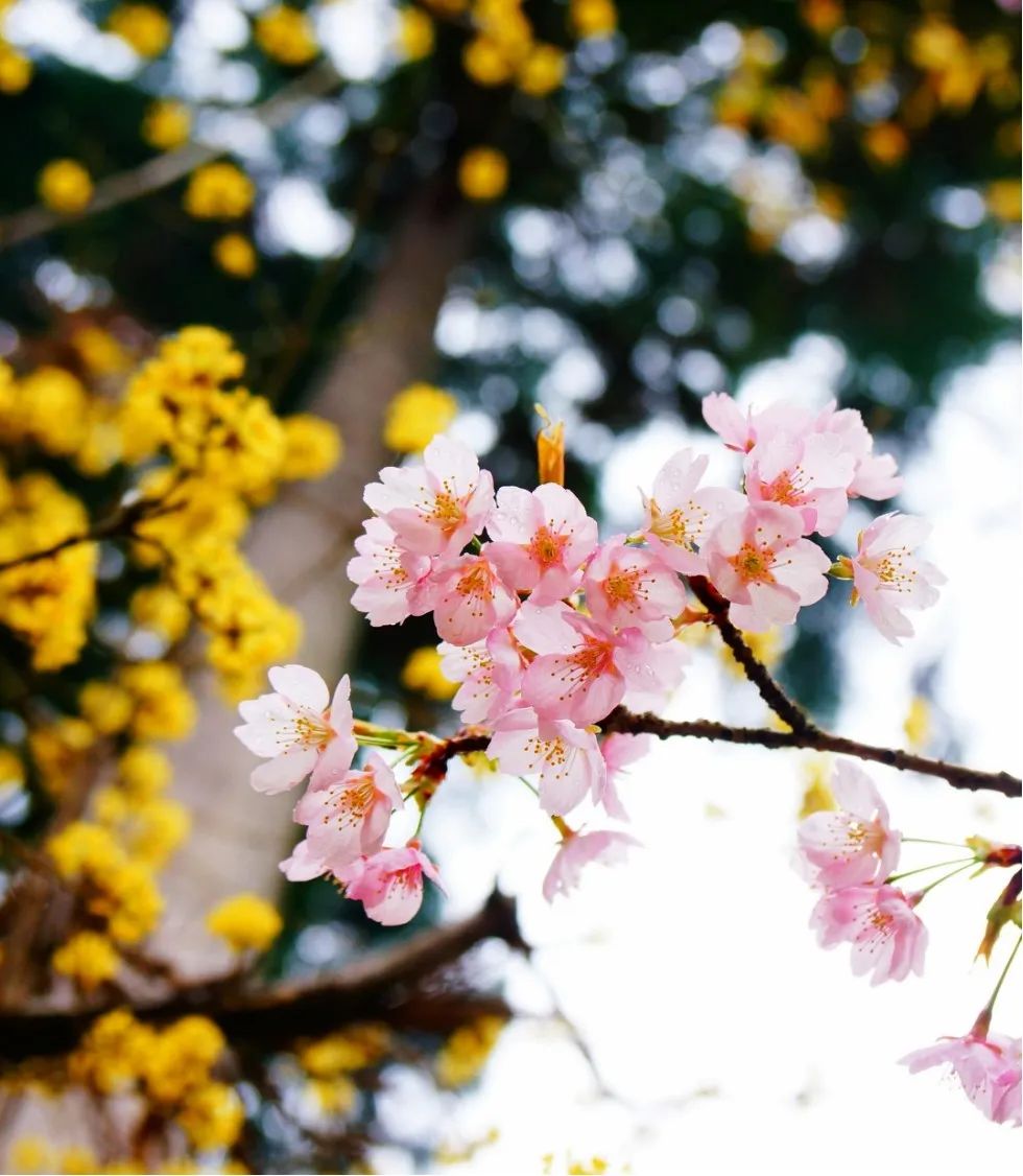 1669187426170252.jpg 0001.jpg